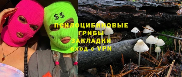 а пвп мука Верея