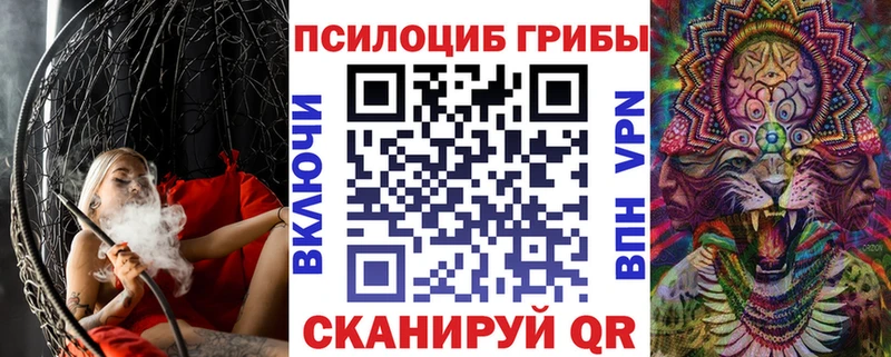 Галлюциногенные грибы Psilocybine cubensis Гаджиево